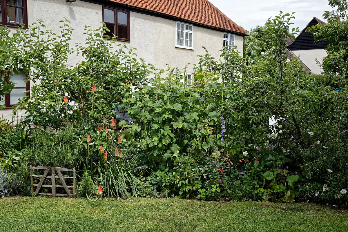A cottage with a colourful garden border in full summer bloom